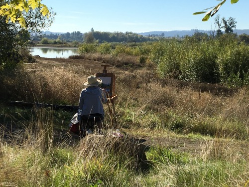 Happy World Wetlands Day! How many times do you see artists at your wastewater treatment plant. You certainly do at Fernhill Wetlands, treatment wetlands in Forest Grove, Oregon.