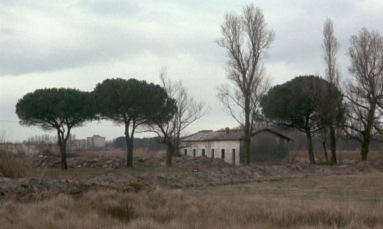 lavendeuse: Vagabond (Agnès Varda,1985)