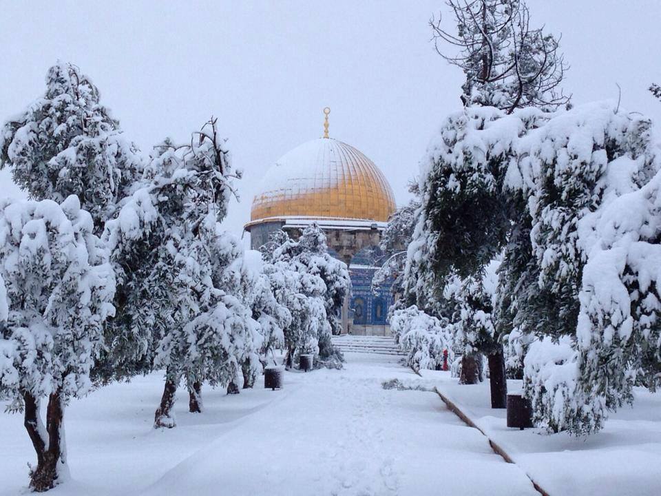 tamarrud:Al Aqsa this morning covered in snow and looking as majestic as ever