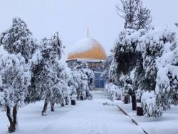 tamarrud:Al Aqsa this morning covered in