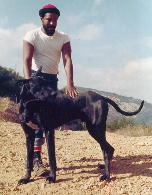 canadianbeerandpostmodernism:  Marvin Gaye at his home in Topanga Canyon, California