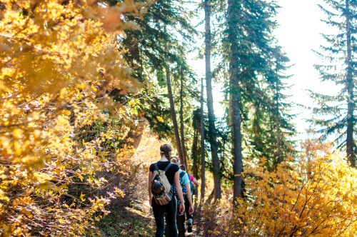 maryandhercamera:  Ignoring my responsibilities and editing photos. Trail to Kendall Katwalk, Snoqualmie Pass, WA 