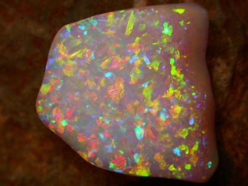 pinfire: Opals from Brazil Source: opalauctions