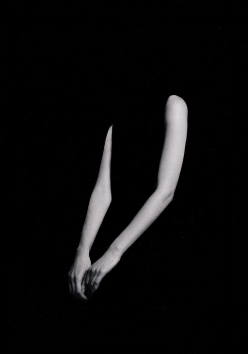 isabelreitemeyer:  m o r e  a r m s