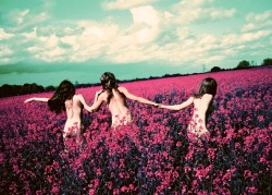 katesworld:  FREEDOM FIELDS SHOT ON PURPLE FILM Photo: Kate Bellm 