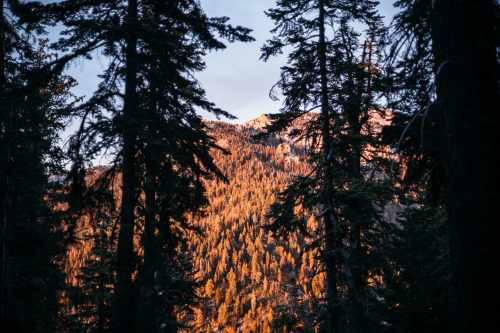 christophermfowler:Watchtower Trail | Sequoia National Park, CA | November 2017