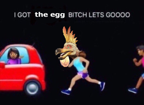 elfcicada:egg thief