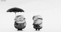 hart15:  this is too cute not to reblog 