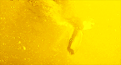jamexmcavoy-deactivated20150919: gif challenge vs. colouringtherainbow         ↳ round two | Guardians of the Galaxy + faceless