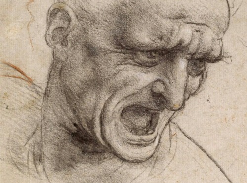 detailedart:Leonardo da Vinci’s drawings and Simon Schama’s Power of Art. Bernini. (Study of analogy