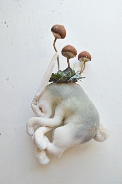 ohmisterfinch:  Toadstool Hare By Mister