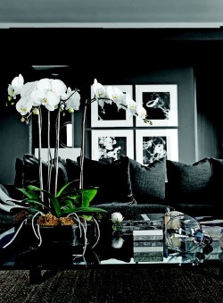 Naimabarcelona:  Interiors