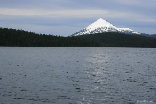 Mount McLoughlin - OregonHarry Snowden