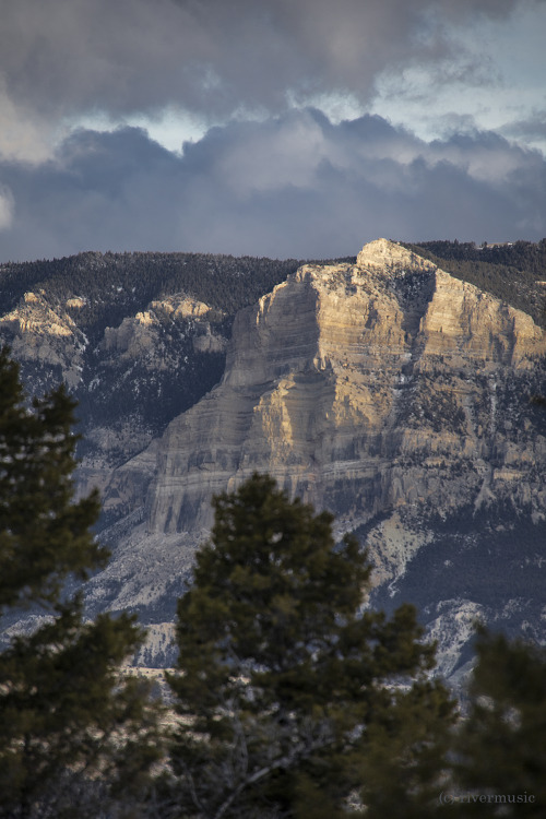 riverwindphotography:Steep cliffs of Madison Limestone and older strata glow in the afternoon sun, B