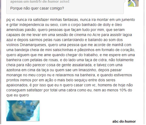 Resposta de um pedido de casamento para a derpet: