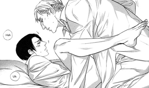 yaoi-bum:  Shingeki no Kyojin Eruri DJ - Strange Chameleon [Jitterbug/Mibu Lotus] 