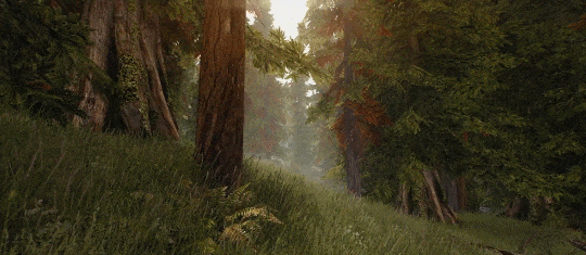 Skyrim  ↳ Forest of Dibella