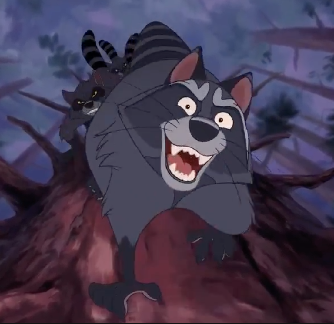curritos:things that are important: the raccoon from brother bear 2