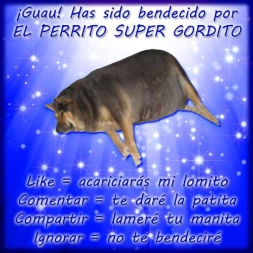 ¡Guau! ¡Gracias sovietverde!