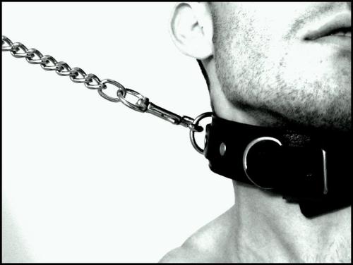 kinkythingsilike:  youthfuldominance:  I always try to keep the things that matter most to me very close by.   Love the collar.