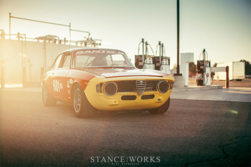 The Rimicci Brothers’ Alfa Romeo Racecars