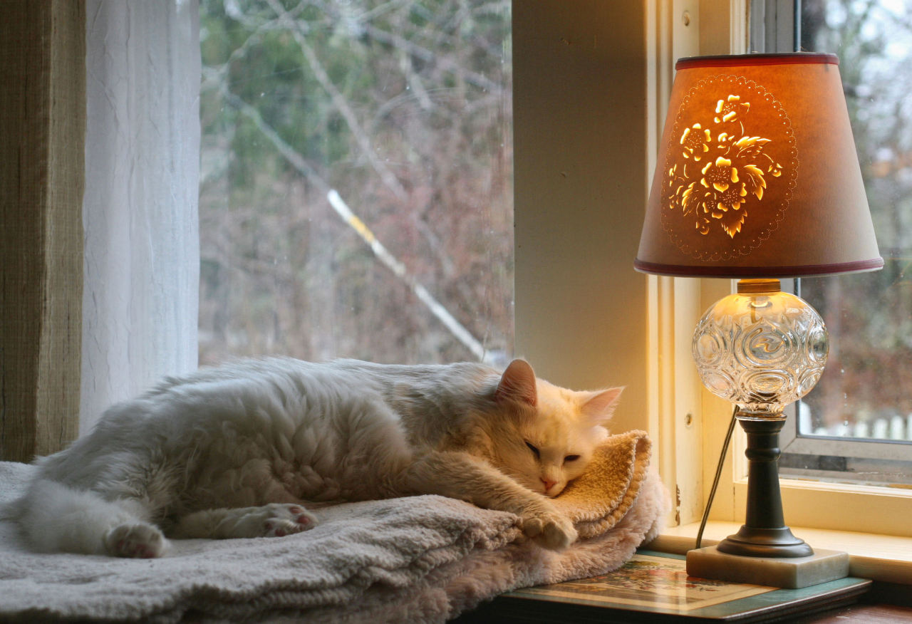 grungeouttakesabstracts:  How to spend a gray morning  Little Compton, Rhode Island