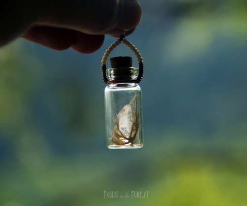 frolicingintheforest: Frolic in the Forest on Etsy!Bone, Crystal and Lichen specimen necklaces! (:I&