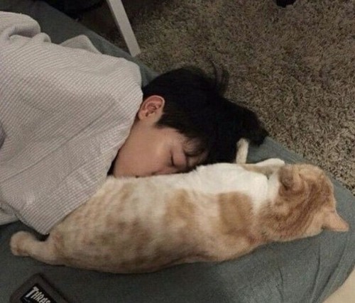 Wen Junhui As A Cat Dad.