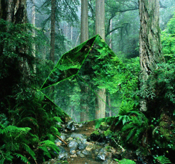 Jungle Gif Explore Tumblr Posts And Blogs Tumgir
