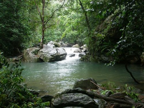 oceaniatropics: Stoney Creek, Cairns, Queensland, Australia Lost in the sea