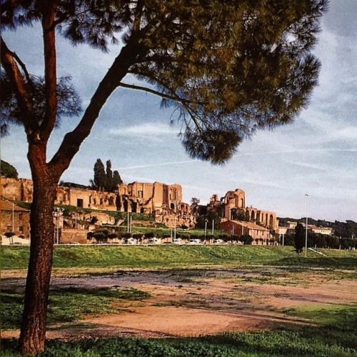 historyoftheancientworld: The Circus Maximus, Rome, #circusmaximus #ruins #ancientrome #rome #italy 