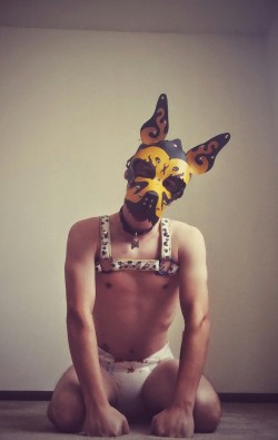 growing-boysxl:  pup-dyllan:  A pic of me in my pup gear :D  Awww!!!