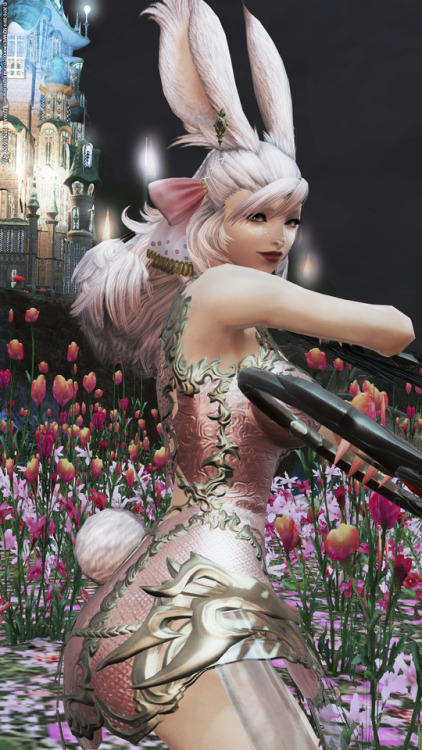 Say hello to Luna Valkyr my new bun bun~  ❤I finally I got my dancer to 80 and OMG do I love it so s