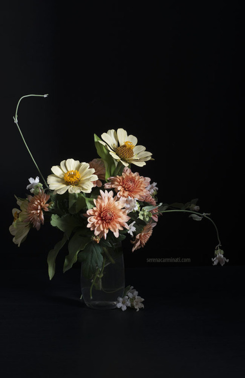 Bouquet of Zinnia and Chrysanthemum Flowers Low-key still life with Bouquet of Zinnia and Chrysanthe