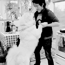 joeykramer-deactivated20150926:  mark   dogs = peace on earth 