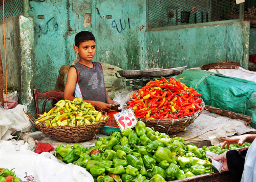 mediterraneum:
“ Chili Boy - Cairo, Egypt by alfieianni on Flickr.
Boy working at Khan El-Khalili Souk - islamic Cairo, Egypt
”