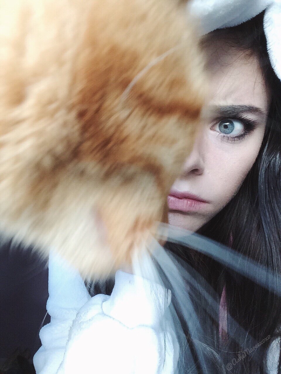 ixnay-on-the-oddk:  Mew, can you not? I’m trying to selfie 😾