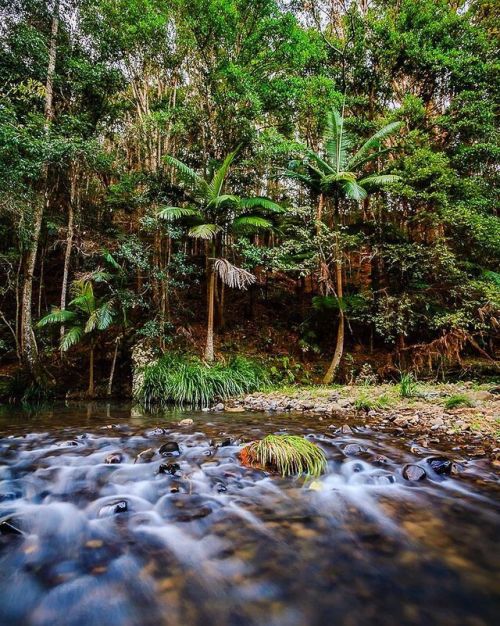 oceaniatropics: Currumbin Valley, SE Queensland, Australia, by altimagesphotography