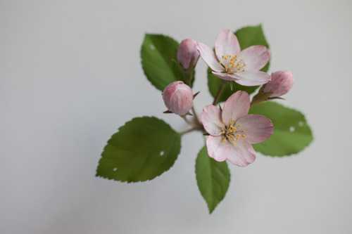 arthrax: Yoshihiro SudaApple blossom, 2015, painted wood, 11,5cm x 12cm x 11cm***This is a painted S