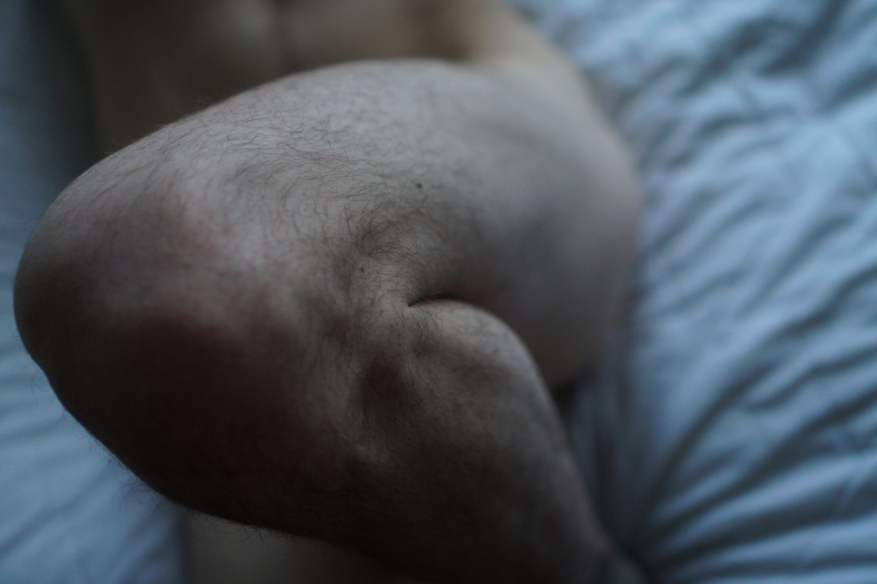 andrevautour:  body 2015-2016