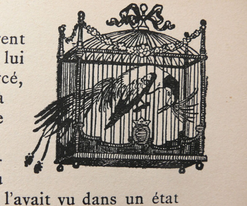 L’Oiseau Bleu, Mme d’Aulnoy, illustrations  Lola Anglada,   éditions  Hachette 1912/1930 The Blue Bi