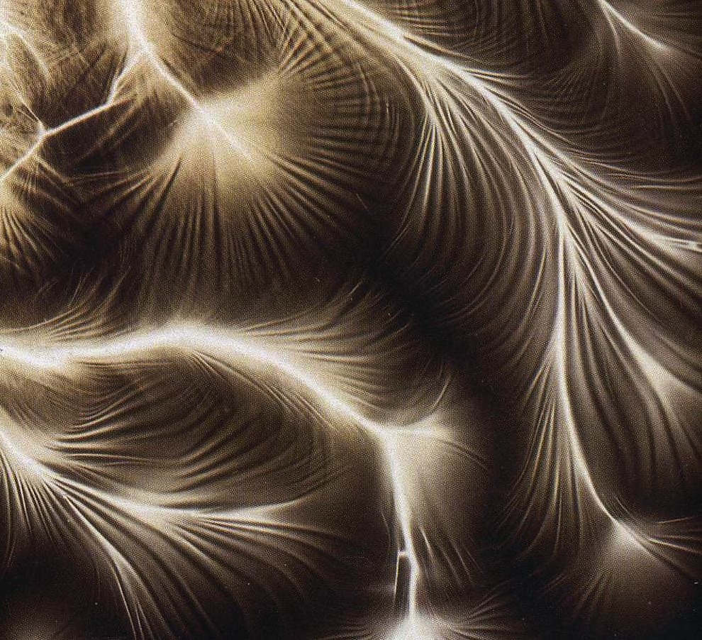 magictransistor:  Étienne Léopold Trouvelot, Etude D’Étincelle, Trouvelot Figures,