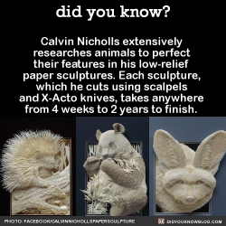 did-you-kno:  Calvin Nicholls extensively