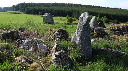 ‘Eslie The Lesser’ Stone Circle, nr Banchory, Scotland, 30.5.18.The last of three stone circles in c