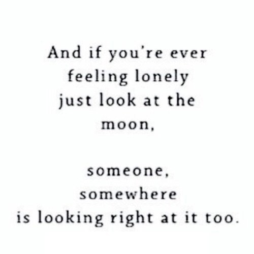quotes-and-gifs:  sincerely relatable tumblr posts! 