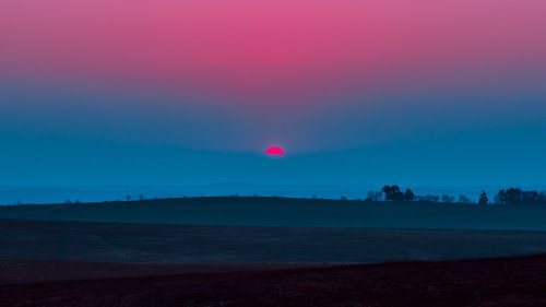 Elsa Bleda (French-Turkish, b. 1988, Aix-les Bains, France, based Johannesburg, South Africa) - Sund