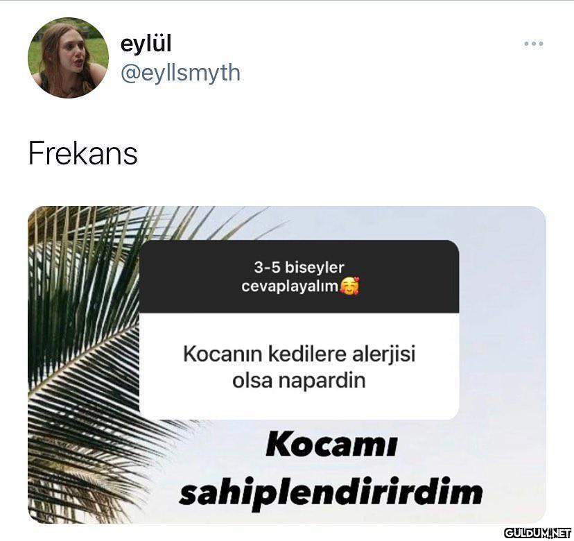 kediler insanlardan daha...