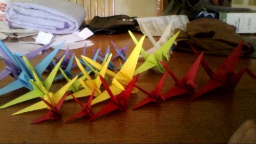 rawrfox:I want to try doing the 1000 paper cranes thing. But I’m very lazy so I need a little bit of