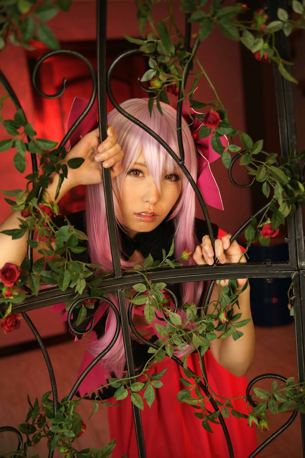 cosplaygirl:  小鳥遊屋COSPLAYERS館:11月24日　ROMけっと　有村千佳新作SAMPLE画像　その1