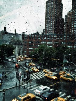 brutalgeneration:  july, rain, and yellow